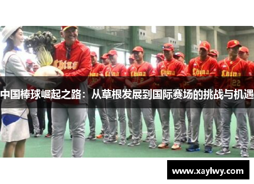 中国棒球崛起之路：从草根发展到国际赛场的挑战与机遇