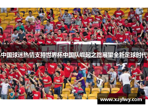 中国球迷热情支持世界杯中国队崛起之路展望全新足球时代